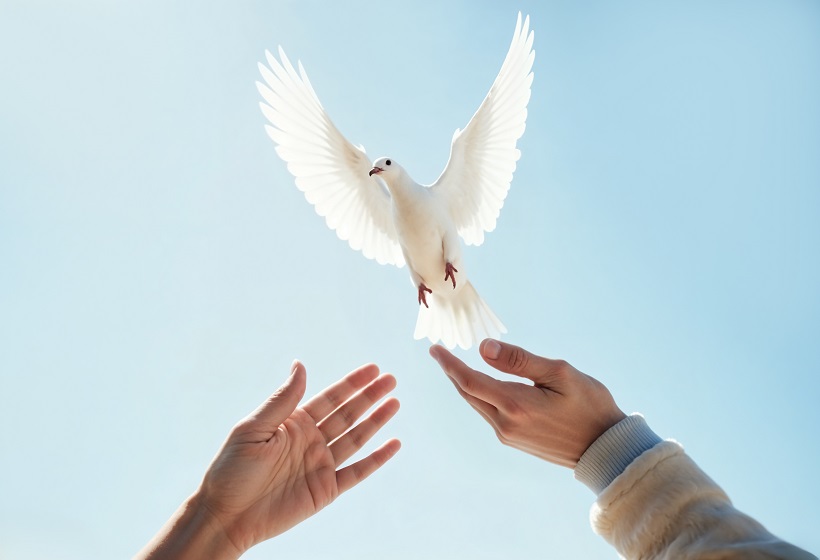 Conheça a oração pela paz católica, seu significado, como rezar e por que a Igreja convida os fiéis a pedir paz no mundo.