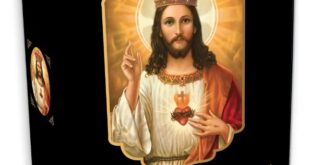 Bíblia Sagrada Católica com Imagens - Edição Luxo Capa