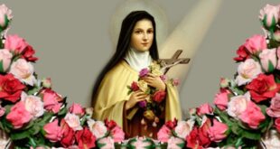 Aprenda como rezar a poderosa Novena de Santa Terezinha das Rosas completa