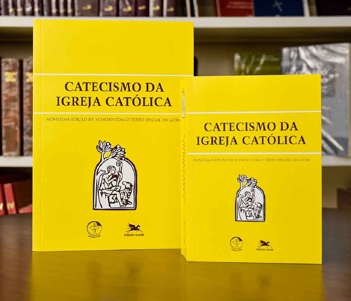 Catecismo da Igreja Católica, um guia para entender a fé católica