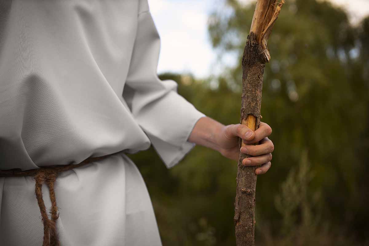 Aprenda como rezar as orações para Novena de São Francisco de Assis completa