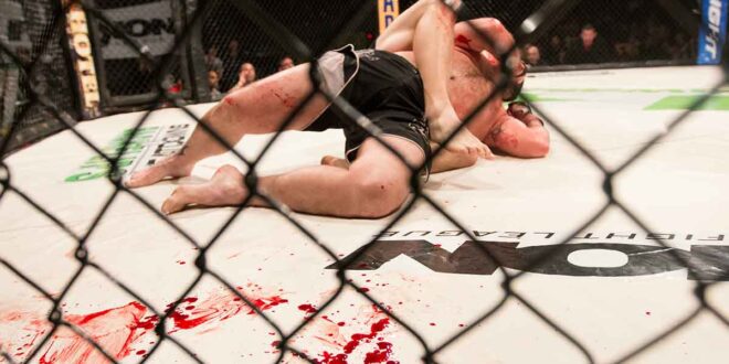 Ver ufc é pecado, jovens católicos podem assistir ou não