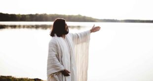 Veja o significado das Sementes do Verbo segundo a Igreja, sua origem e o que esse ensinamento revela aos jovens católicos hoje.