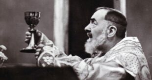 São Padre Pio, saiba sua oração, dia, frases, profecias e milagres