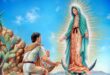 Do que Nossa Senhora de Guadalupe é protetora e padroeira, história, milagres e orações