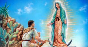 Do que Nossa Senhora de Guadalupe é protetora e padroeira, história, milagres e orações