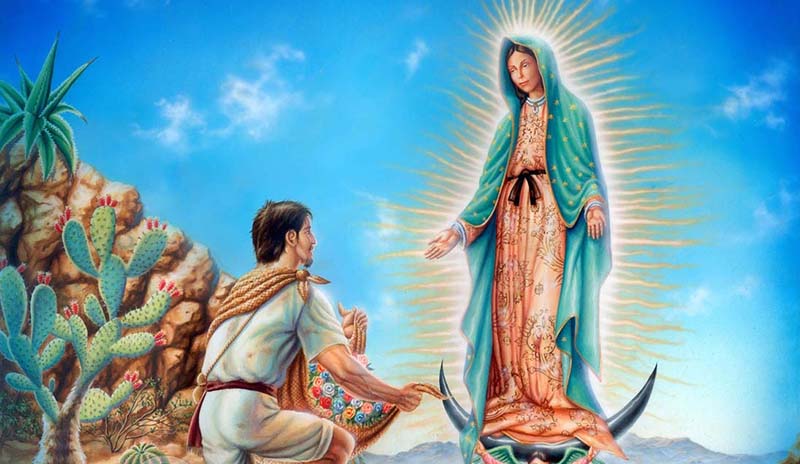 Saiba o que Nossa Senhora de Guadalupe protege, qual seu significado para os católicos