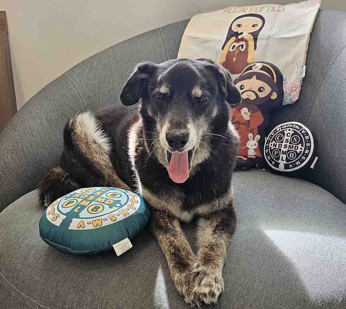 Teve "gente" ? aqui em casa que também amou os presentes da Santos Fofinhos Teve "gente" ? aqui em casa que também amou os presentes da Santos Fofinhos