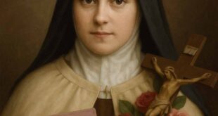 Santa Teresinha do Menino Jesus e o Livro Pétalas de Rosas: A História que Tocou até os Campos de Batalha