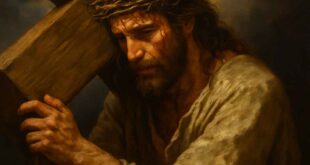 Uma reflexão para os jovens católicos sobre a imagem de Jesus Carregando a Cruz, qual significado, o que Jesus quis dizer