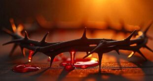 Aprenda Como se Consagrar ao Preciosíssimo Sangue de Jesus Cristo Sendo um Jovem Católico Apostólico Romano.