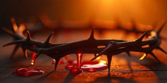 Aprenda Como se Consagrar ao Preciosíssimo Sangue de Jesus Cristo Sendo um Jovem Católico Apostólico Romano.