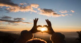 Descubra o significado de “Gratidão é a memória do coração” na visão católica, com base na Bíblia, Catecismo e Psicologia.