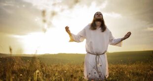 Descubra o que a Bíblia e o Catecismo ensinam sobre os planos de Deus e como confiar na vontade divina mesmo quando não entendemos o caminho.