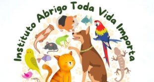 Conheça o trabalho da Associação Abrigo Toda Vida Importa no cuidado de animais abandonados, saiba como ajudar, doar, adotar e ser voluntário.