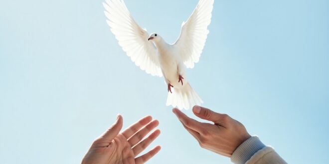 Conheça a oração pela paz católica, seu significado, como rezar e por que a Igreja convida os fiéis a pedir paz no mundo.