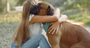 Entenda à luz da fé católica se é pecado gostar mais de cachorro do que de gente e o que a Bíblia, o Catecismo e os santos ensinam.