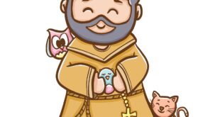 Veja as frases de São Francisco de Assis mais marcantes e descubra lições profundas sobre fé, humildade, paz e desapego.